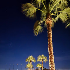 Gymnast, pop music and more