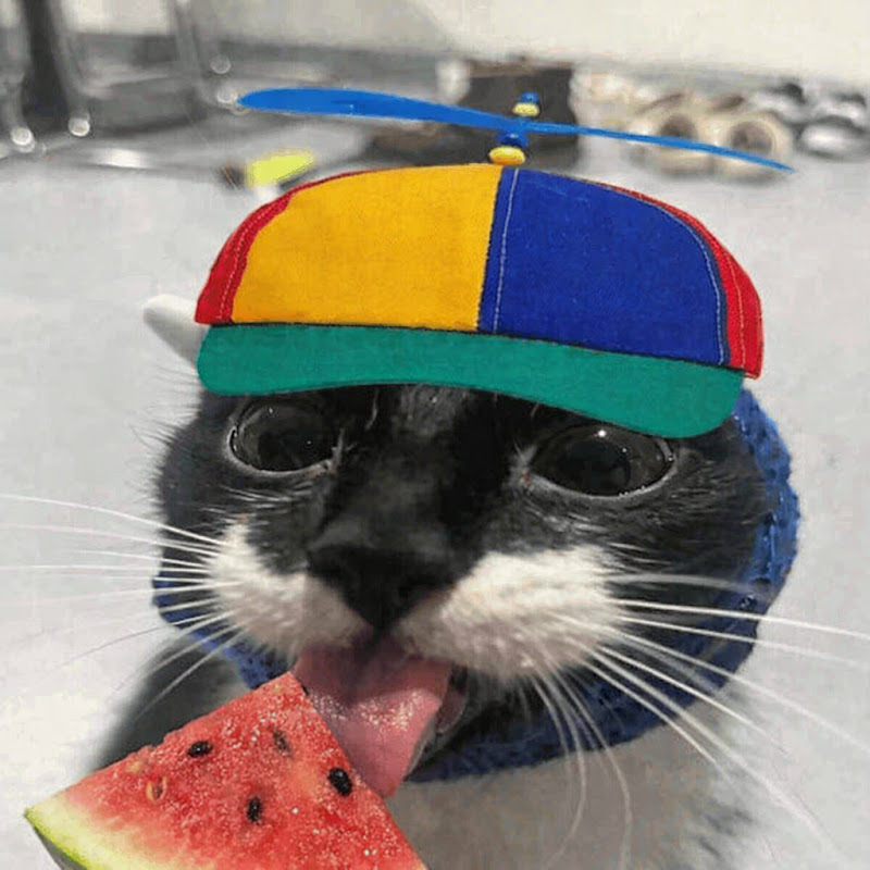 WatermelonGames logo