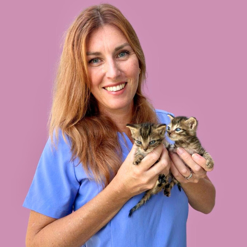 Lary e il Mondo dei Gattini | Puericultura Felina®