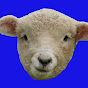 REVEAL THE LAMB OF GOD logo