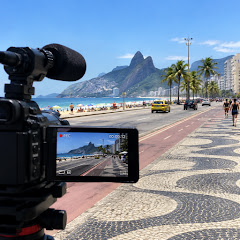Ursão Passeando Por Aí