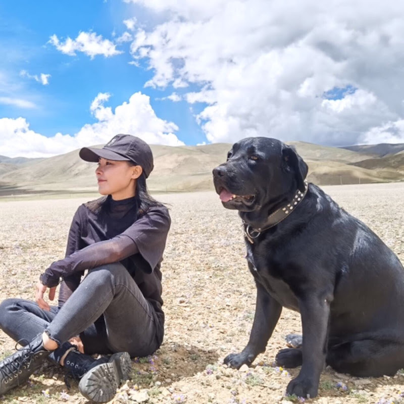 周周的环游梦 Zhouzhou travel Logo