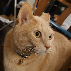 Hi(^~)