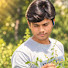 OeOdnWUJeL0-channel-avatar-Sagar Kushwaha