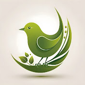 Piano Rain Harmonies