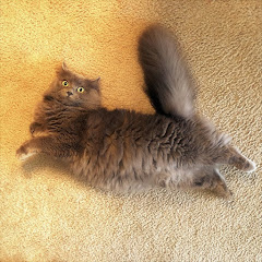 FatFeetGreyアイコン画像