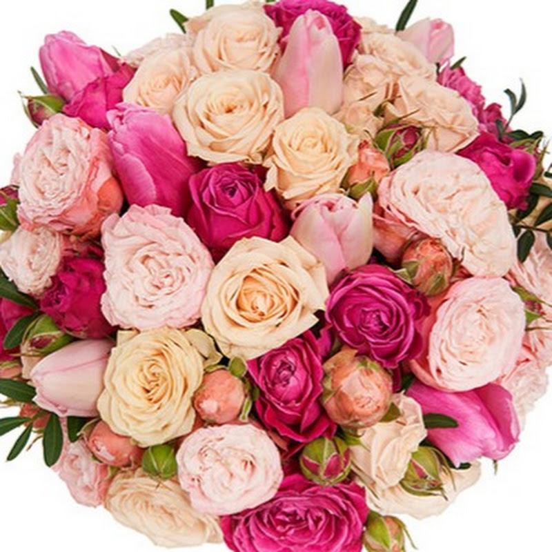 ПРИВІТАННЯ ДЛЯ УСІХ!