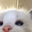 @denise-h1n