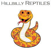 Hillbilly Reptiles