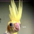 1pSOpukRNl8-channel-avatar-Banana Loof