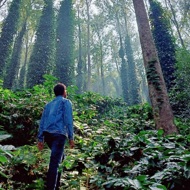 Telugu photography vlogs