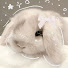 6sOotUwylV8-channel-avatar-Nika Star
