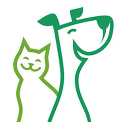DOA dierenasiel