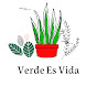 Verde Es Vida Plantas