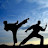 @martialarts-fights4480