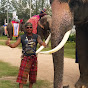 พาตูลู ช้างคู่ใจพลายขวัญเมือง Image Thumbnail
