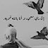rUt0hovidWA-channel-avatar-Cilia_Abdelrahman