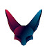 n7NthKdVQMo-channel-avatar-Fennec Finance