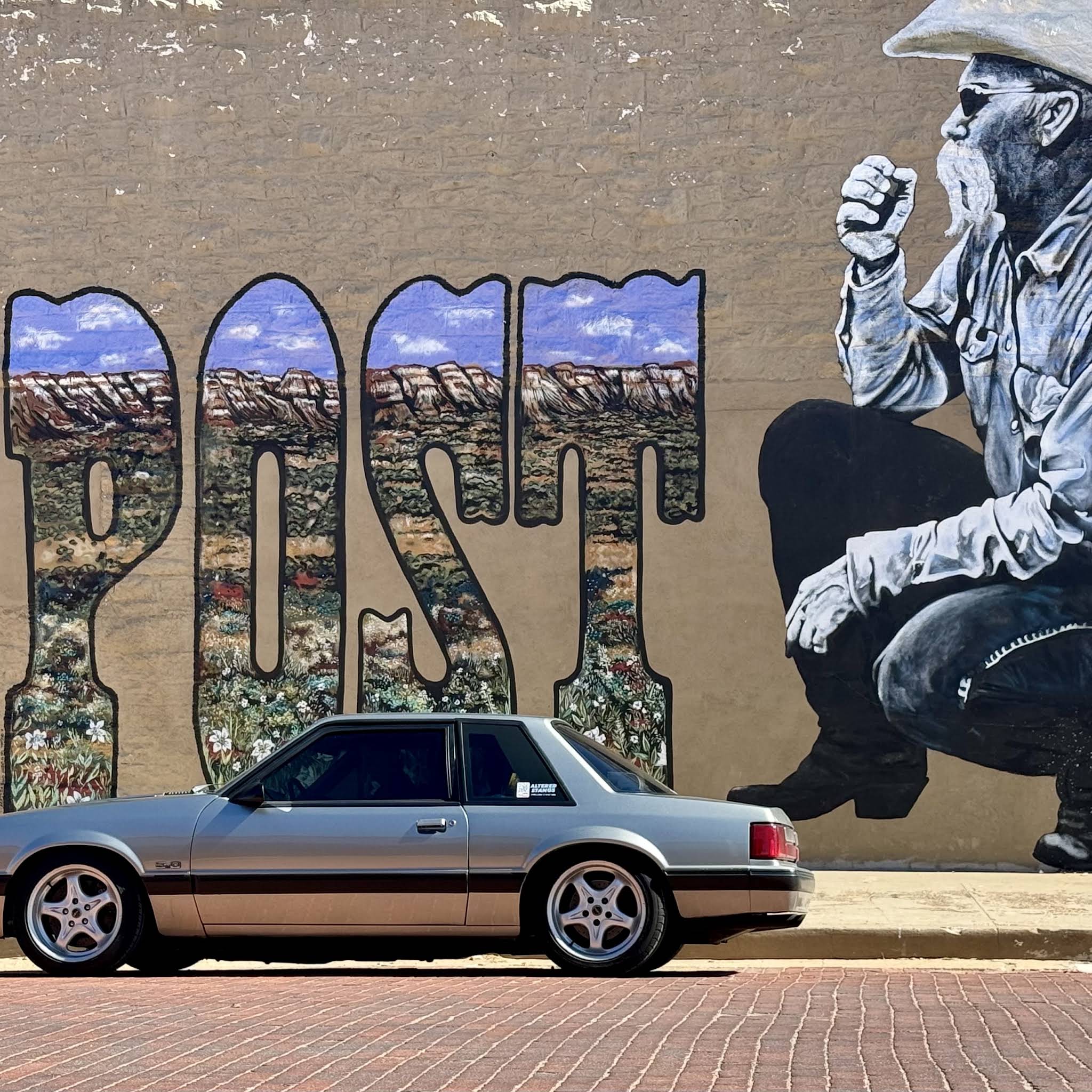 Post from Altered Stangs