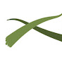 Crossroad Church logo