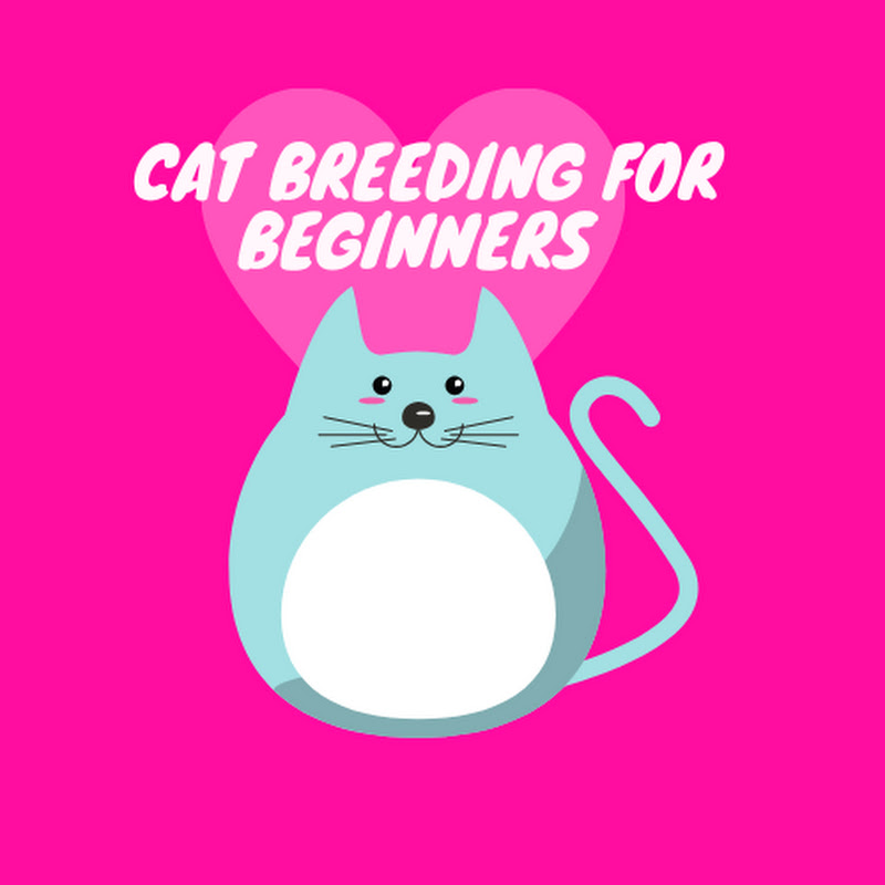 Cat Breeder Coach - Cat Breeding for Beginners