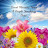 author-img