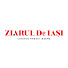 xyDgfgEVsOk-channel-avatar-Ziarul de Iasi