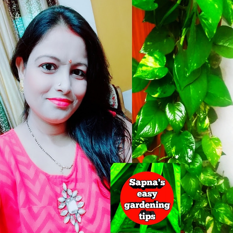 sapna's easy gardening tips