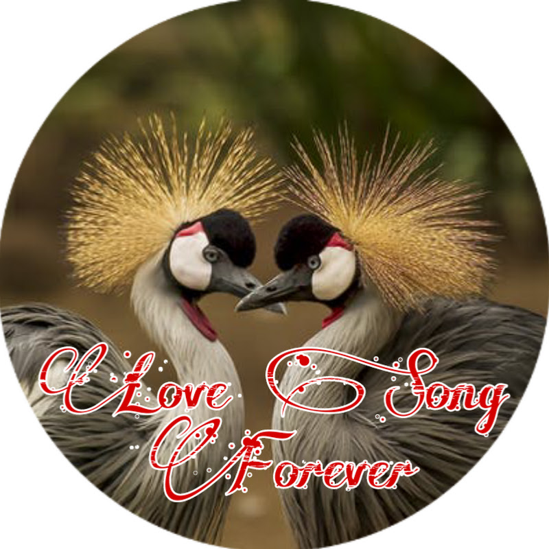 Love Song Forever