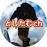 eDHamiQXoVQ-channel-avatar-としたむチャンネル 50代半ばから始めた登山や趣味の記録