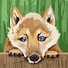 NUScralkfMo-channel-avatar-celebrity