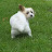 @Your_Uncle_Bob's avatar