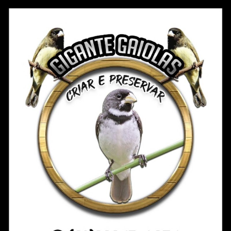 Gigante gaiolas