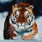@detectiveM2-123