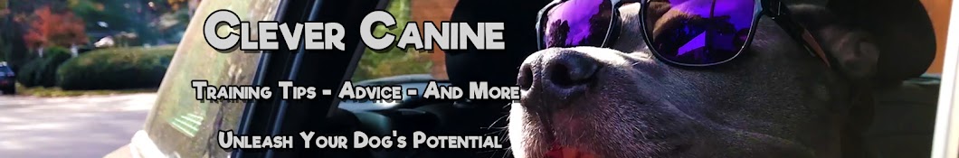 Clever Canine YouTube channel avatar