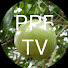 Upc2DfNAeyE-channel-avatar-Profit Passion Fruit