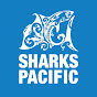 Sharks Pacific logo