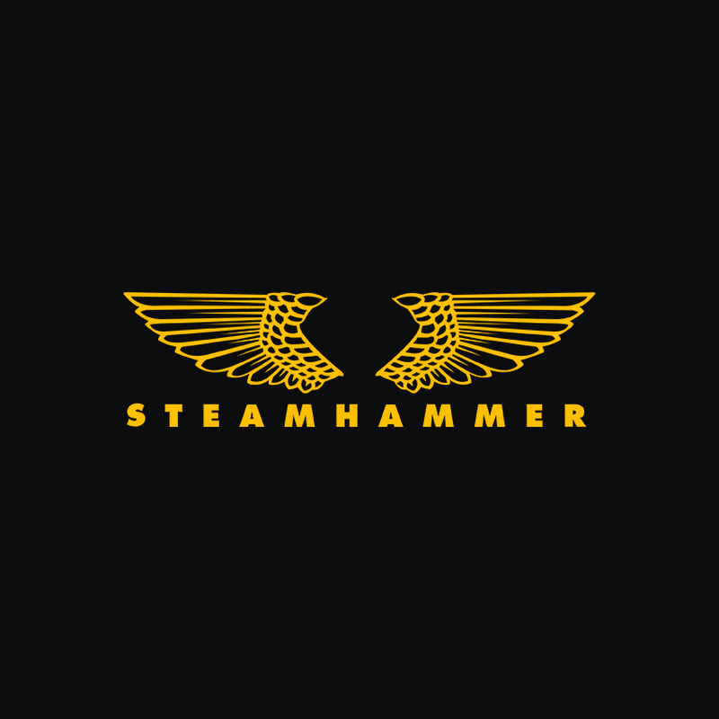 Steamhammer
