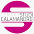 mJJRJbjquXU-channel-avatar-Centro Studi Piero Calamandrei