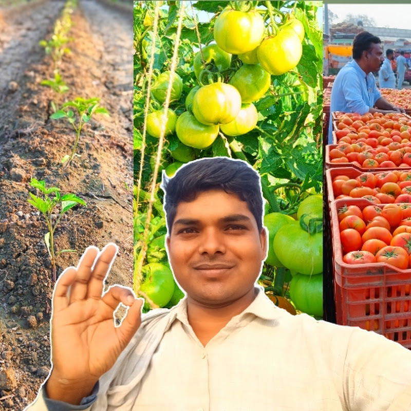 Chatur Kisaan icon