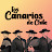 Los Canarios de Chile - Topic