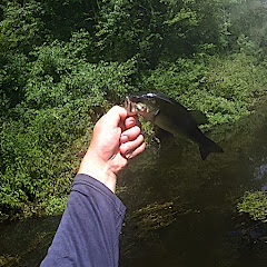 FeelinGoodFishin