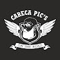 Careca Pics logo