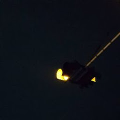 It's me. Hello. net worth