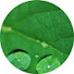 mNSesvrdTkg-channel-avatar-字幕大王
