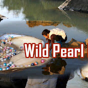 Wild Pearl Hunter