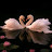 @alwafalink-v6j7w
