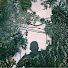 lCXuxADi9Mk-channel-avatar-Ecoclimax
