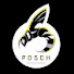 oAUc6ECtfWg-channel-avatar-POSCH Performance