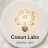 @coeun_labs